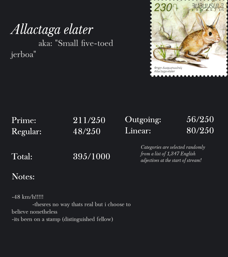 Allactaga elater